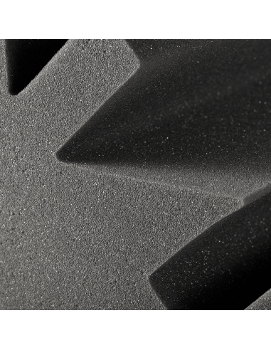 BASS TRAPPS ESQUINERO