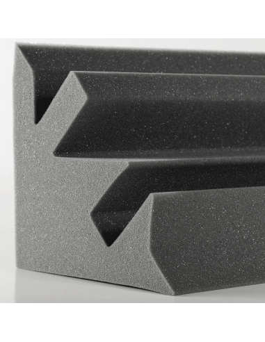 BASS TRAPPS ESQUINERO