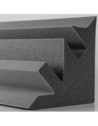 BASS TRAPPS ESQUINERO