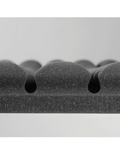 BASS TRAPPS TIPO HONGO 2