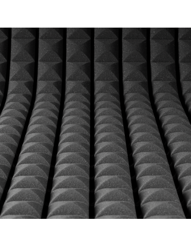 BASS TRAPPS TIPO HONGO