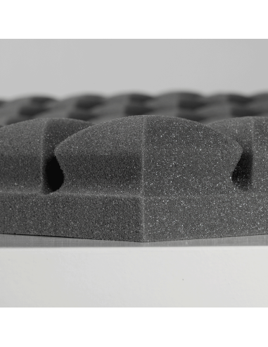 BASS TRAPPS TIPO HONGO